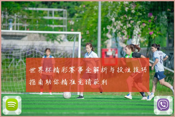 世界杯精彩赛事全解析与投注技巧指南助你精准竞猜获利