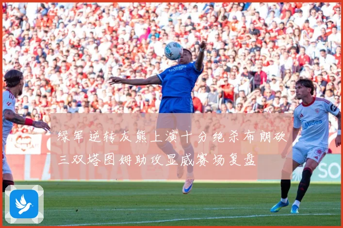 绿军逆转灰熊上演十分绝杀布朗砍三双塔图姆助攻显威赛场复盘
